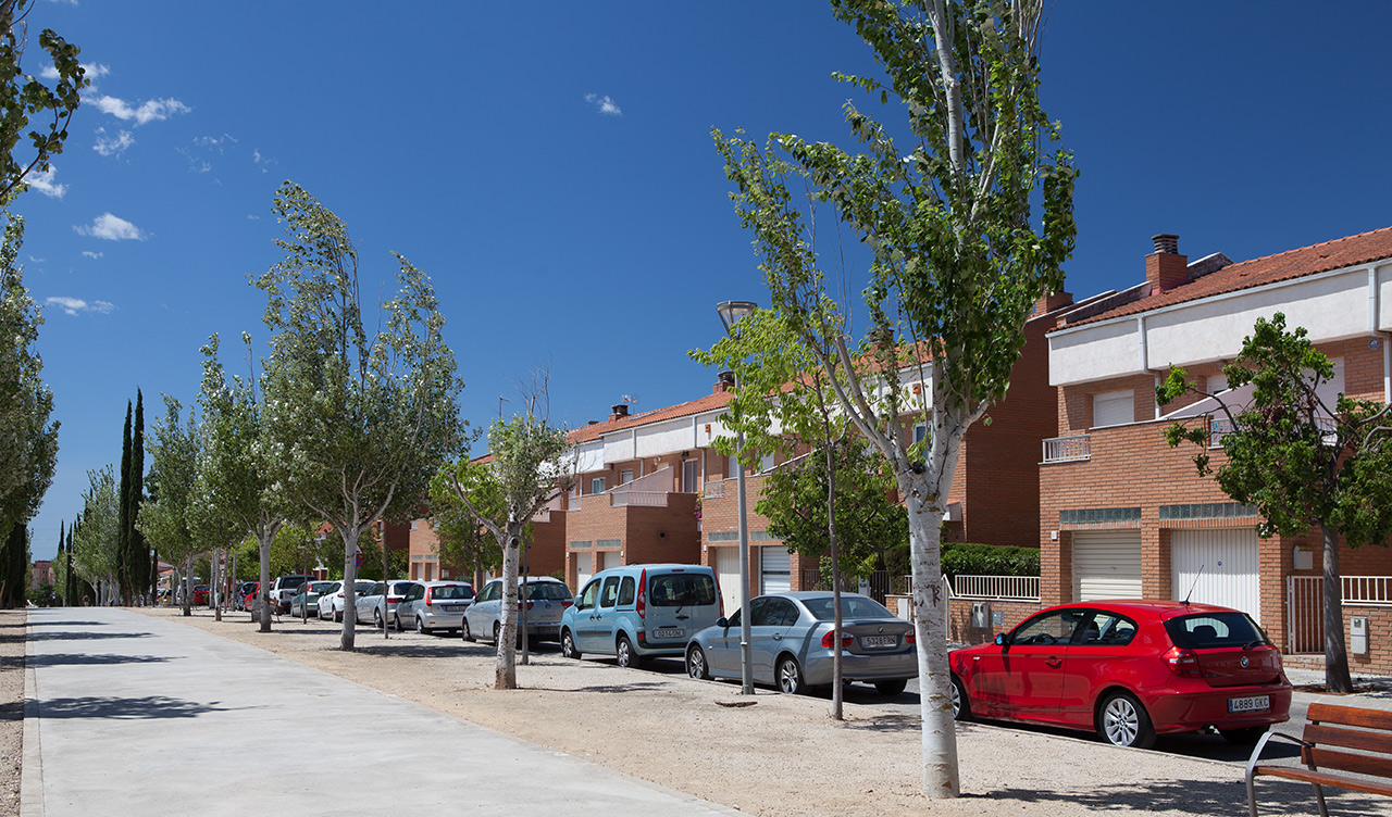 Full de ruta - Arbres moribunds del passeig