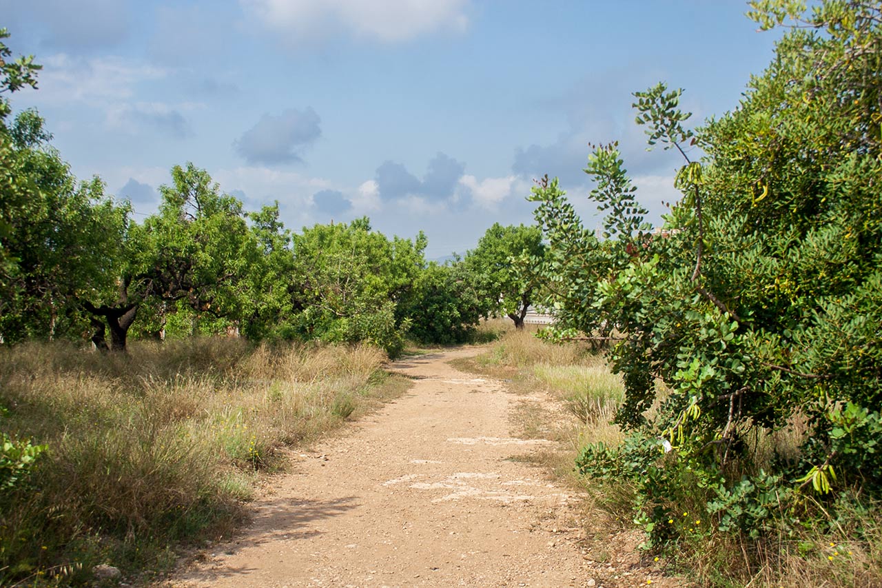 Parc Països Catalans